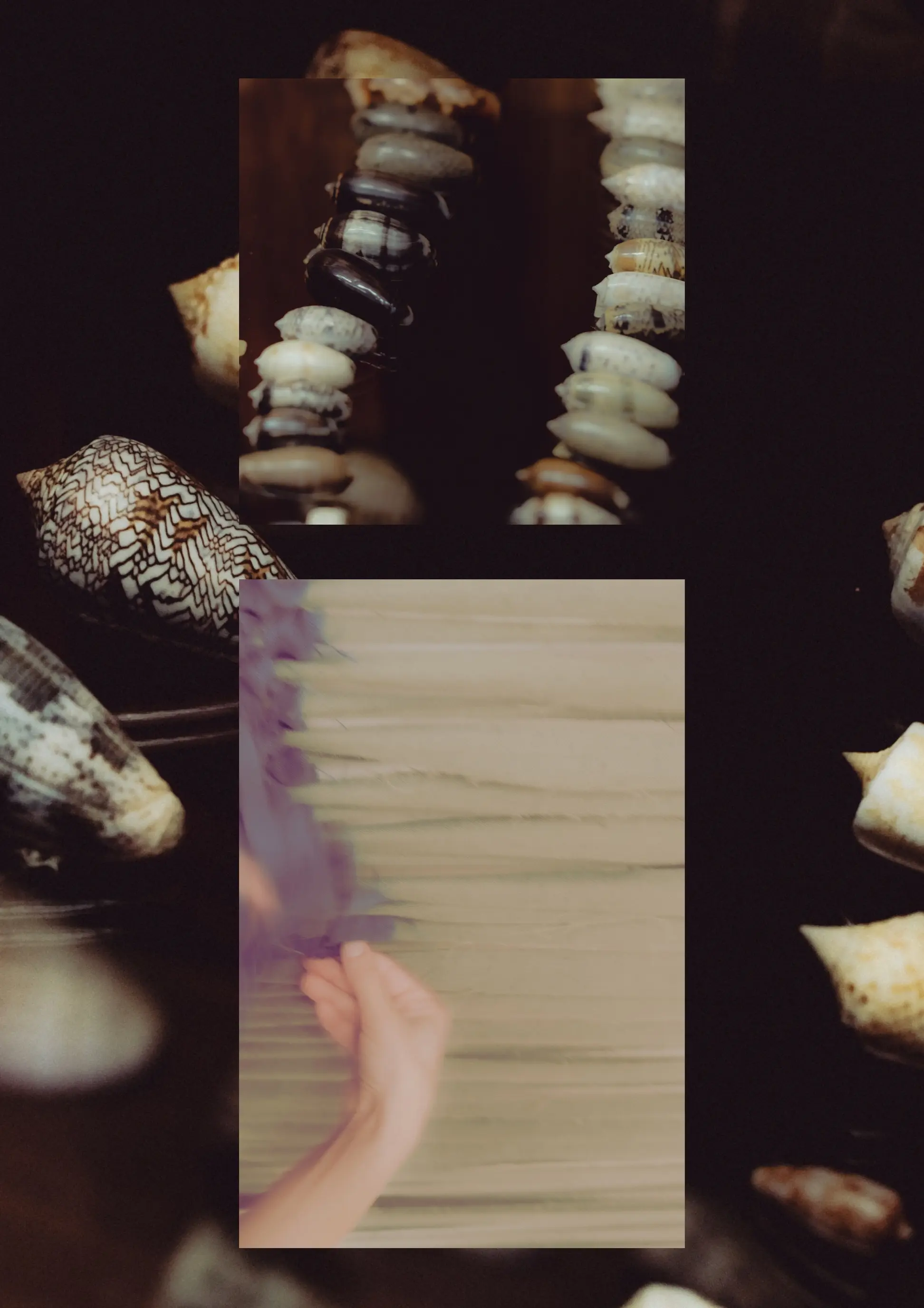 Split composition of strung sea shells and hand interacting with delicate loom woven threads