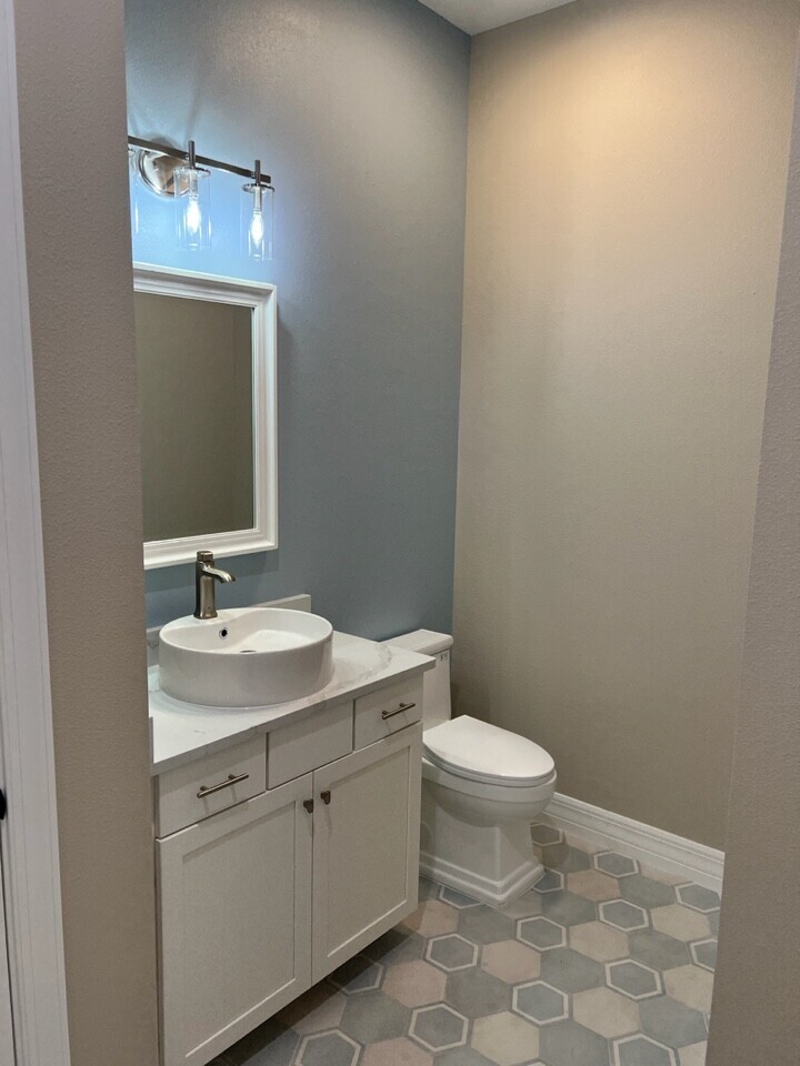 Powder Bath with Raised Vessel Basin & Pastel Hexagon Floor Tile — Remodeling, Tampa Bay, FL