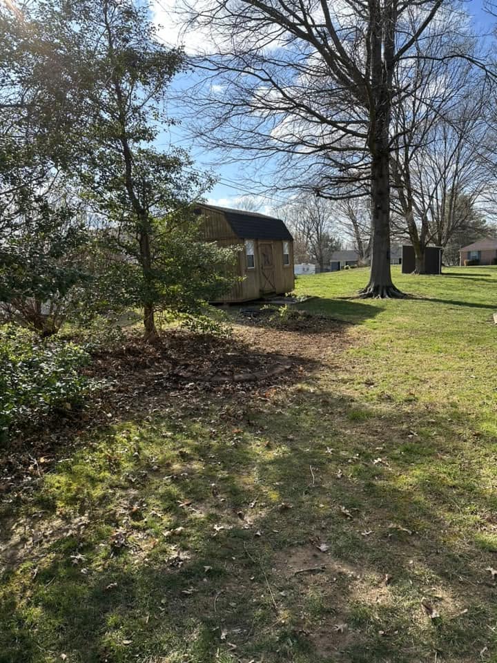 Yard Debris Removal