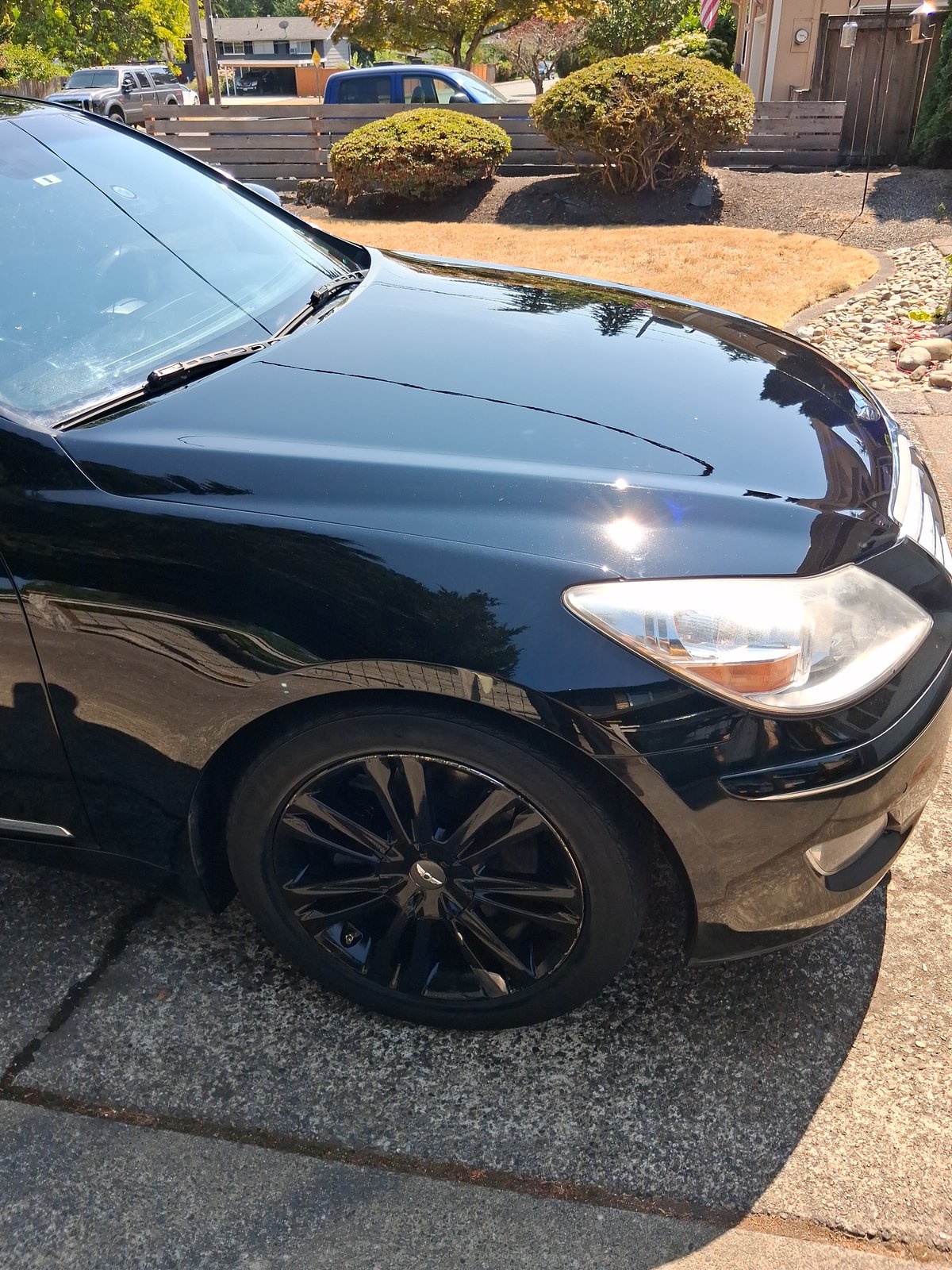 Genesis exterior quarter and deep gloss finish in Pierce County, WA