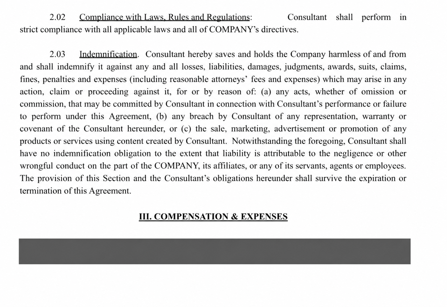 Client services agreement excerpt showing engagement terms and professional contractor scope
