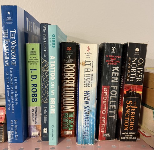 Collection of books including The Wisdom of the Enneagram, Robert Ludlum, and Ken Follett