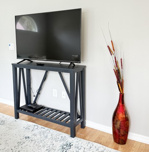 Flat screen smart TV on dark modern console table with tall decorative floral floor vase