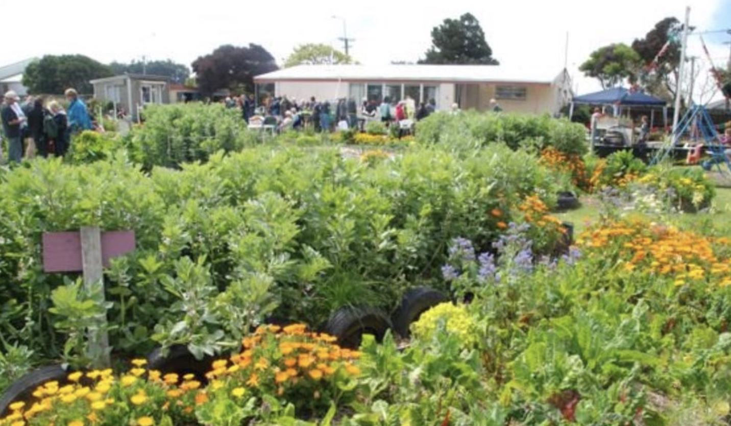 New Brighton Community Gardens with lush garden beds and community gathering