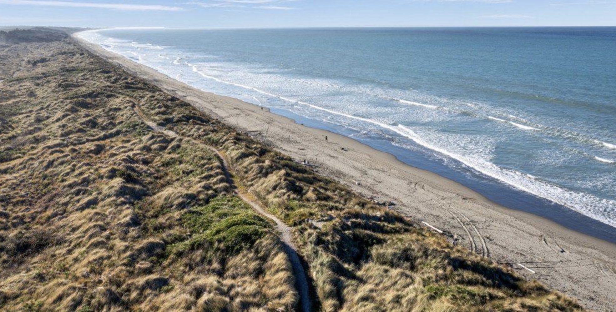 Coastal dunes and walking track along Waimairi Beach looking north