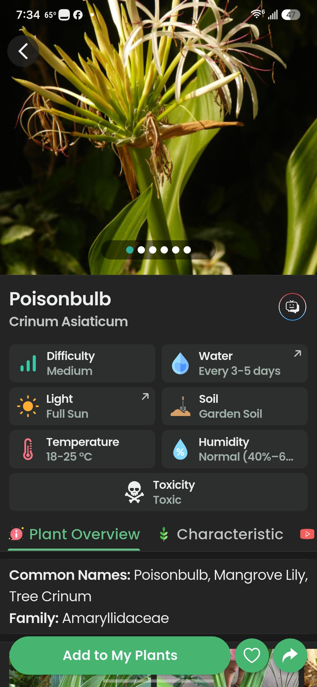 Poisonbulb