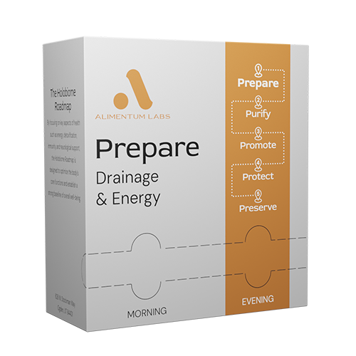 PHASE 1 · Month 1: Prepare – Drainage & Energy