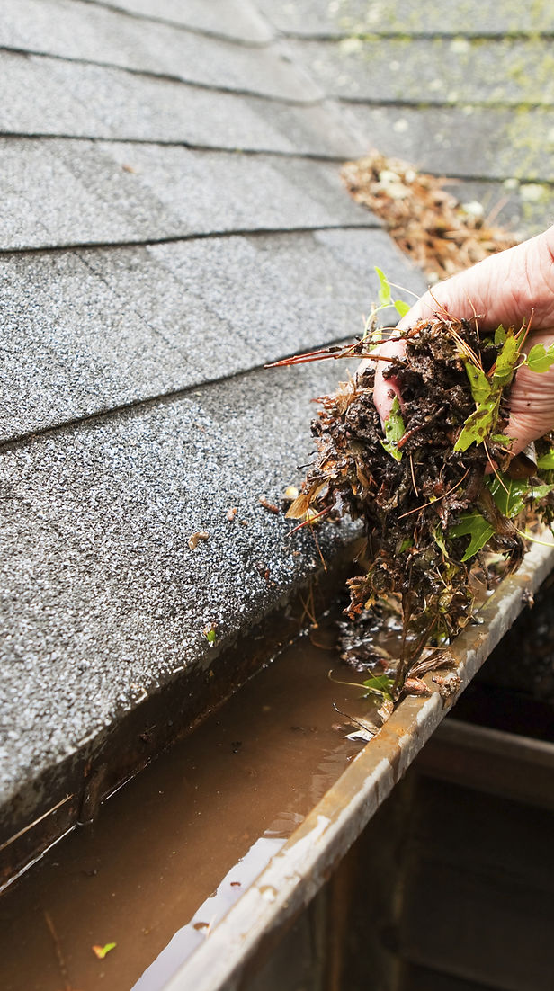 Cleaning a rain gutter