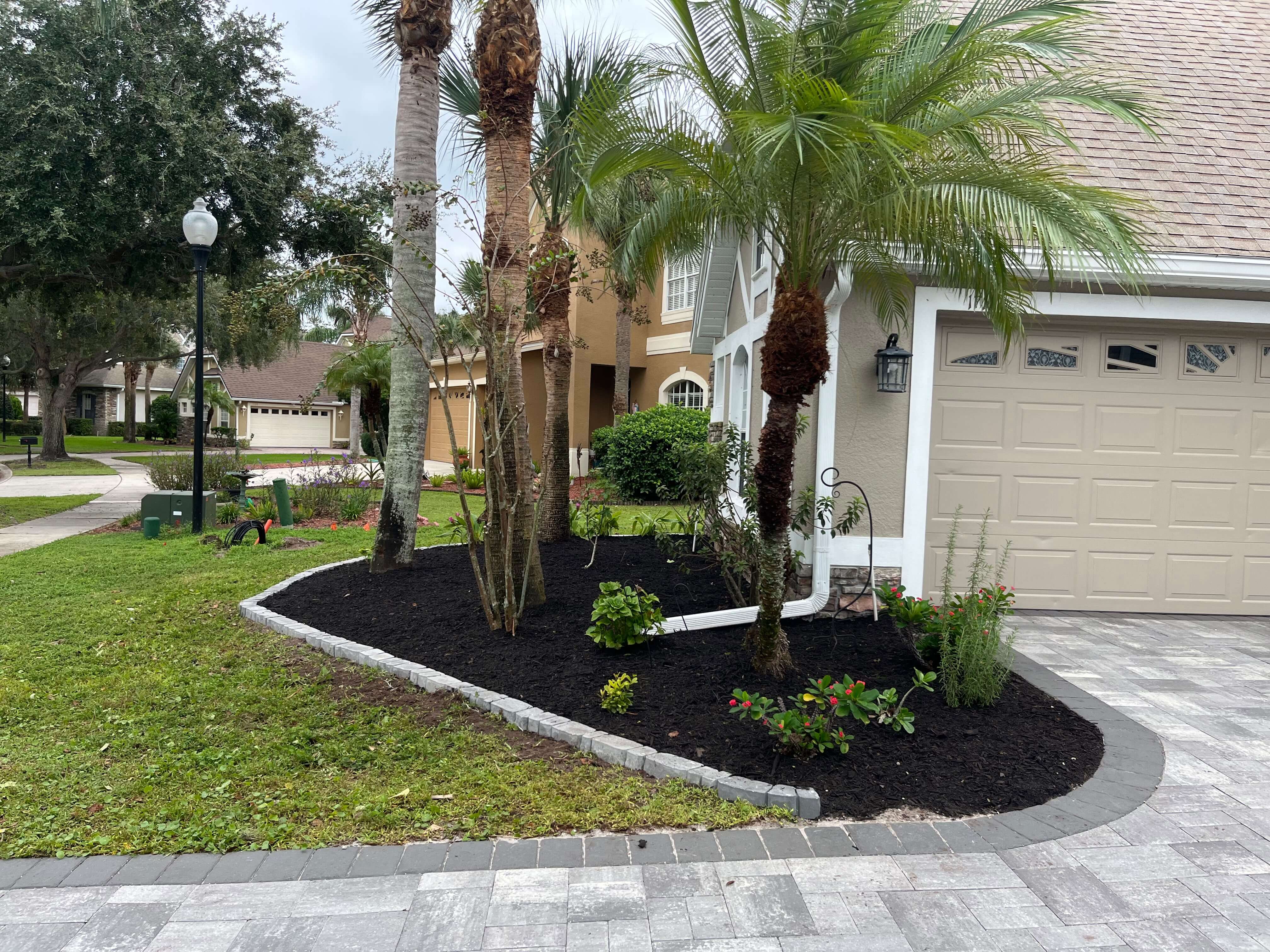 Residential garden after: uniform black mulch, curved paver edge and decorative plants