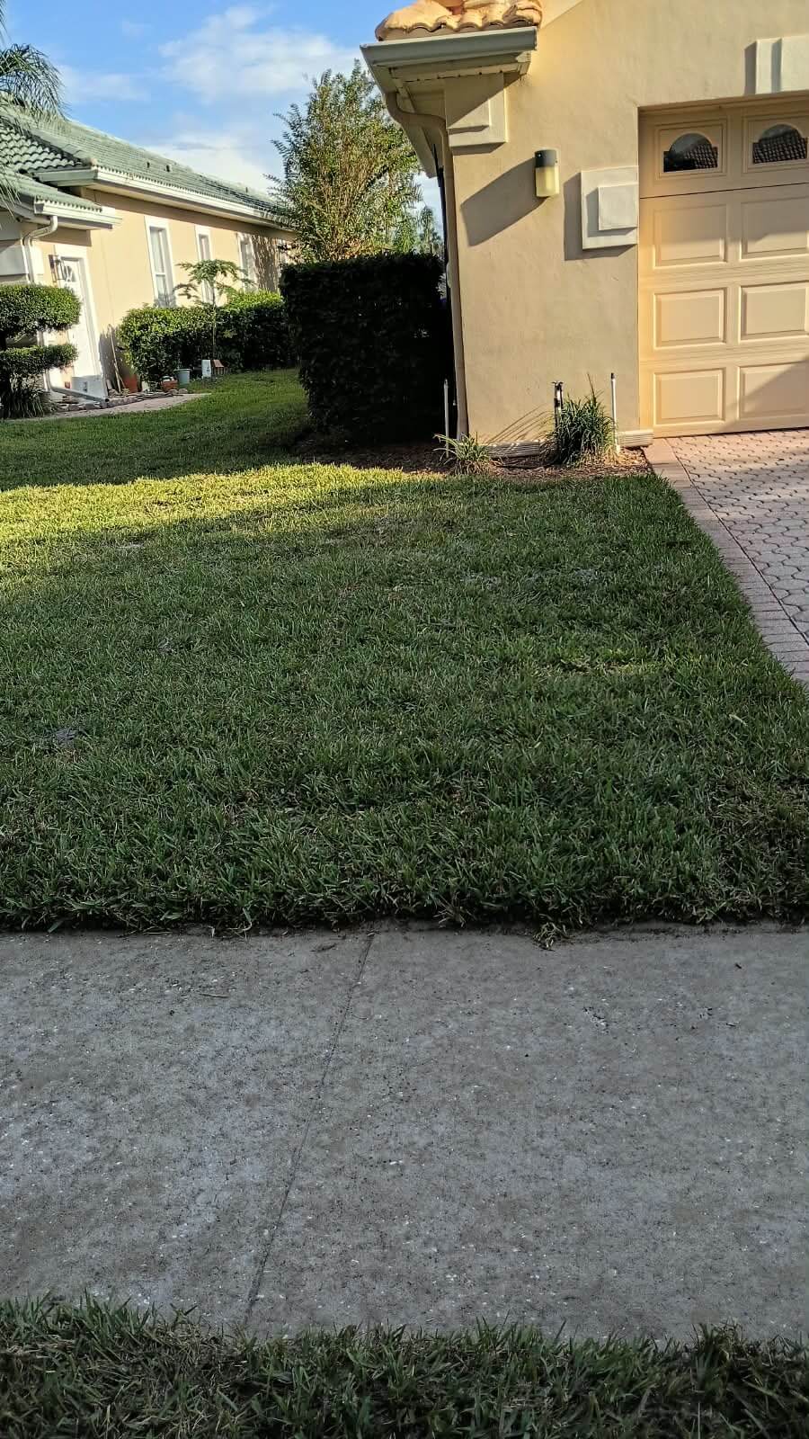 New grass planting & installation