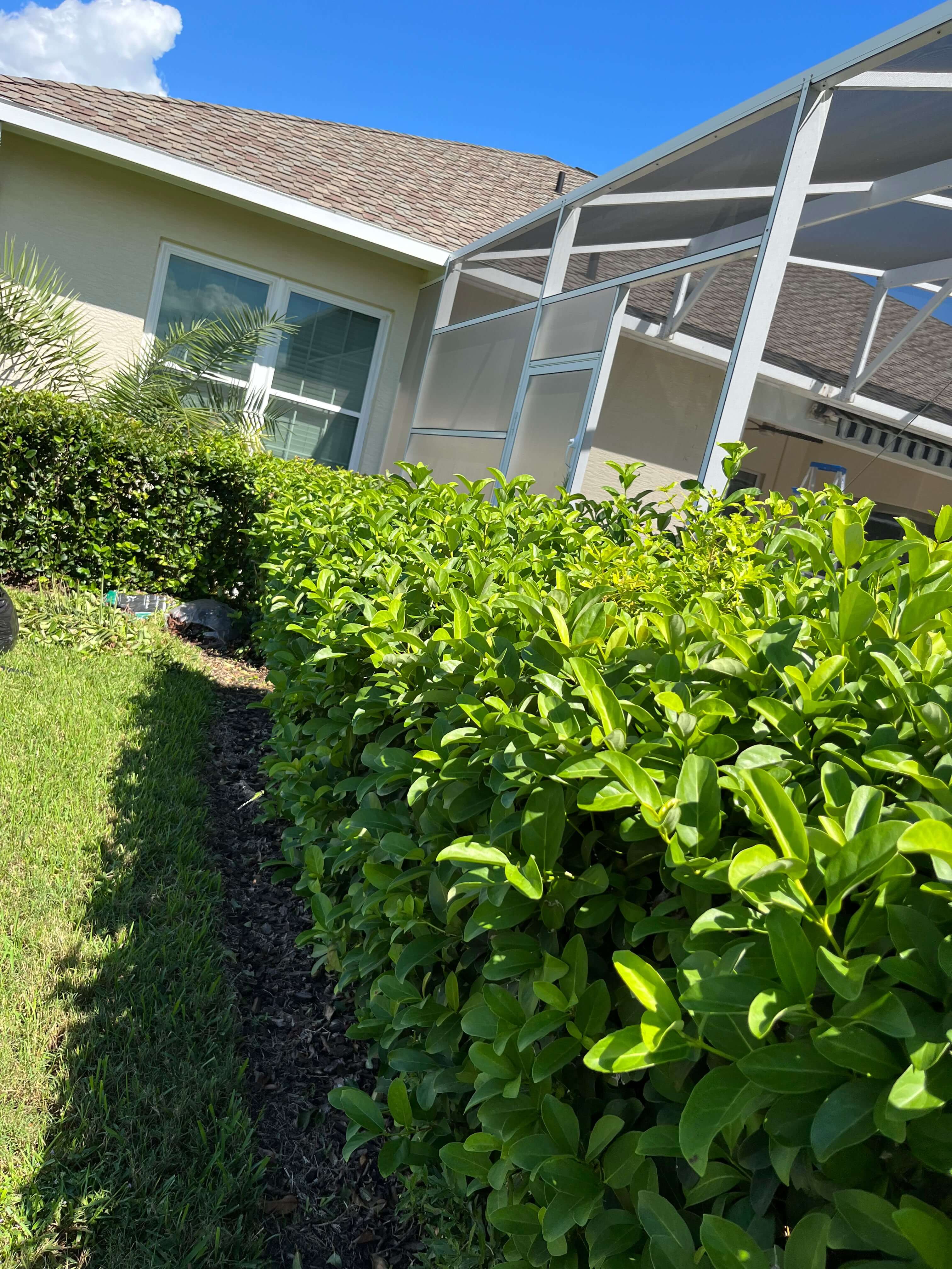 Linear pruning and perimeter hedge maintenance beside a terrace