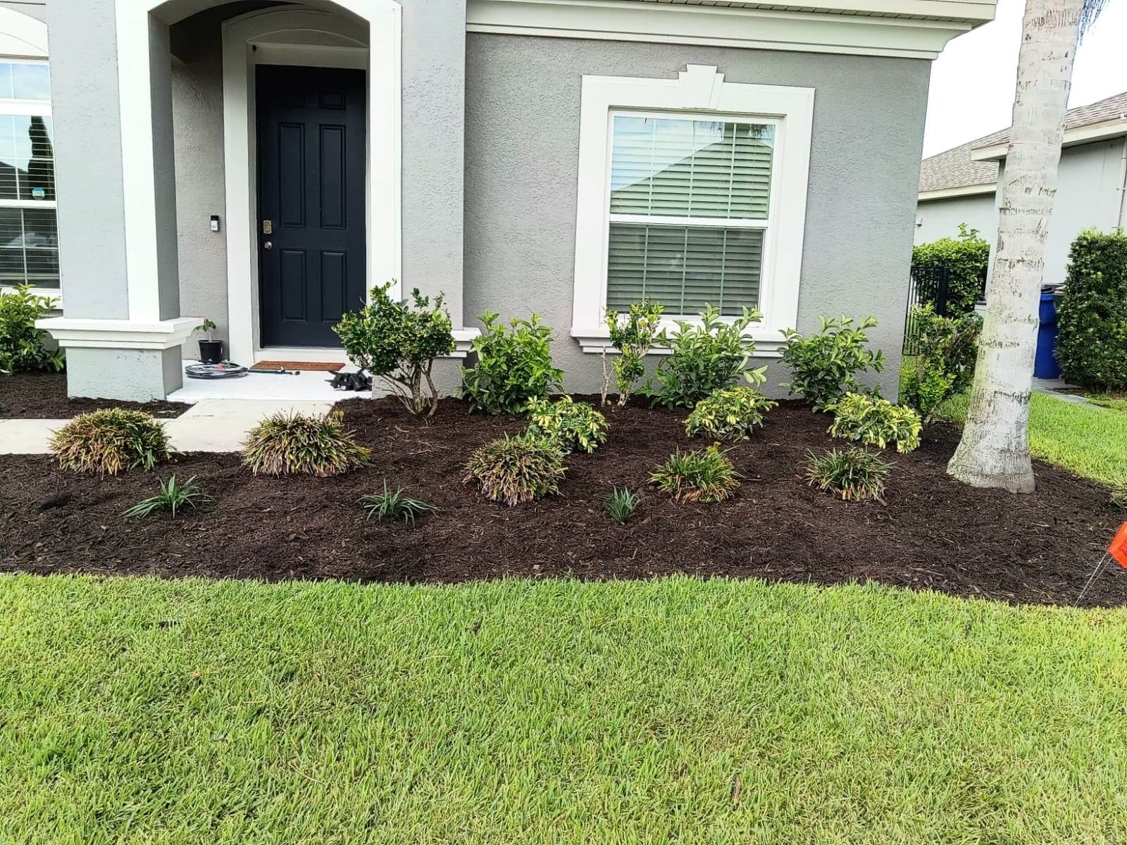 Mulch & organic ground cover