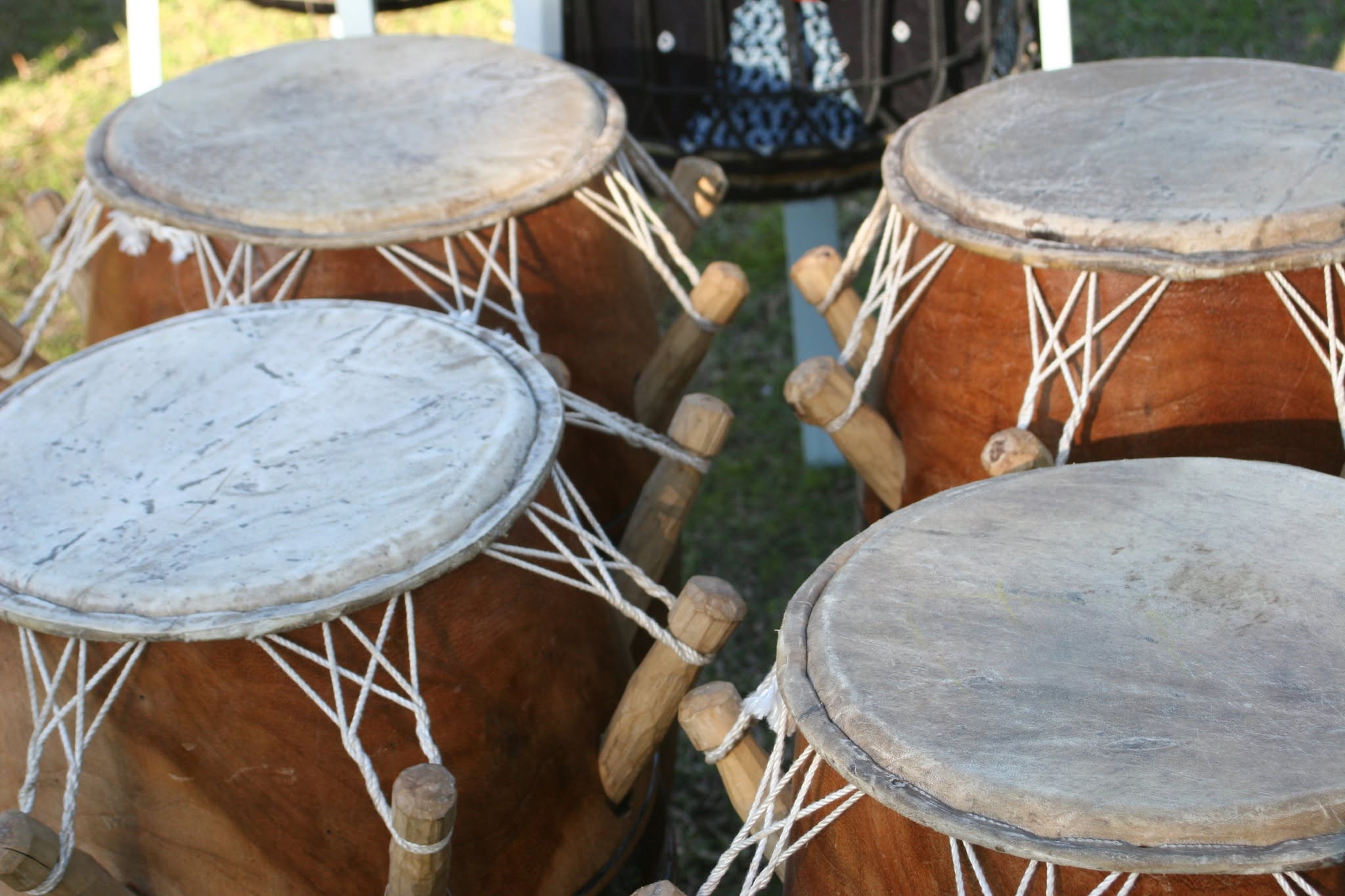 Close-up of multiple hand-tuned hardwood djembe drums with wooden peg wedges and white rope rigging ready for participants