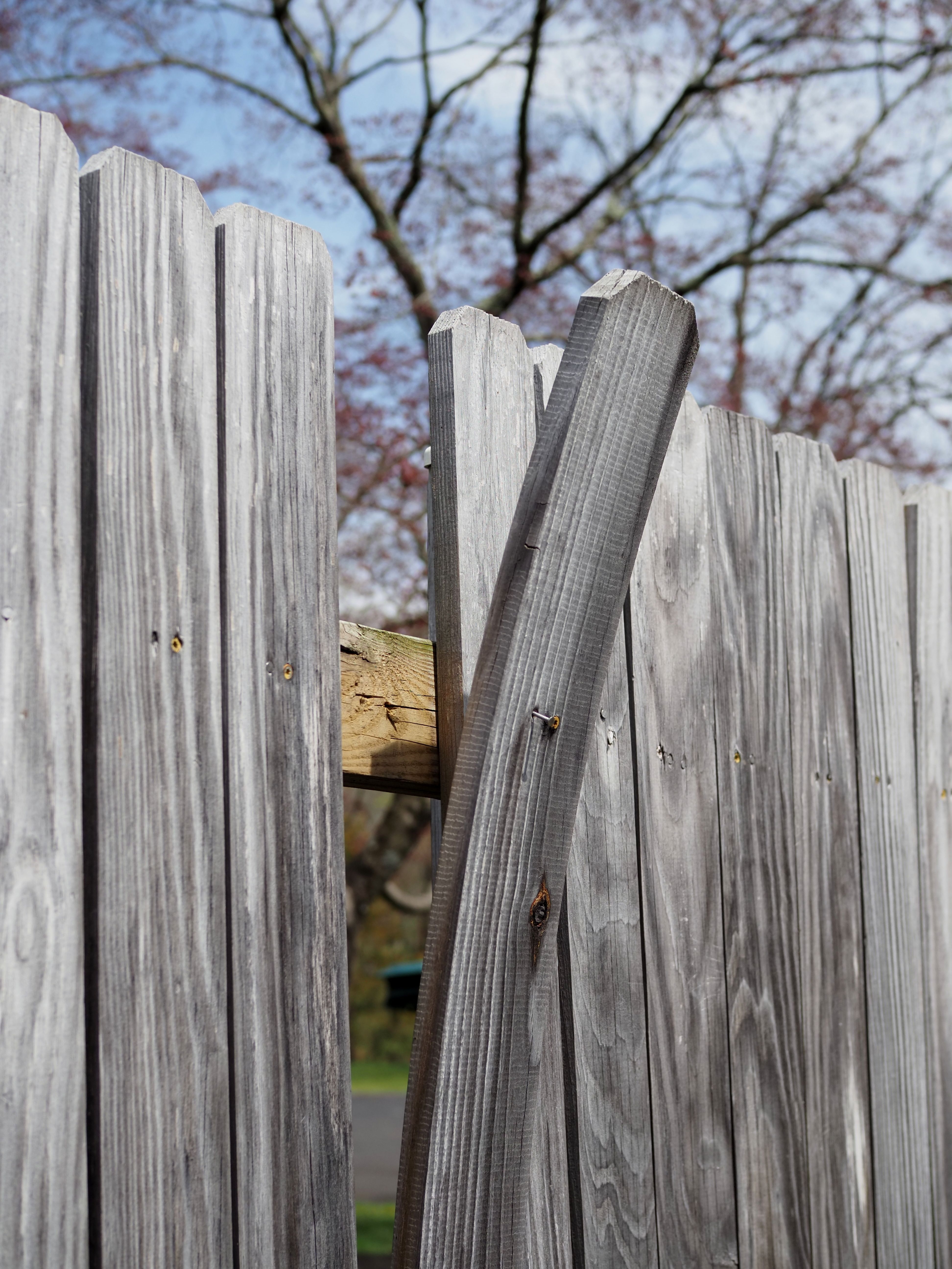 Weathered wood privacy fence with loose bowed board ready for repair