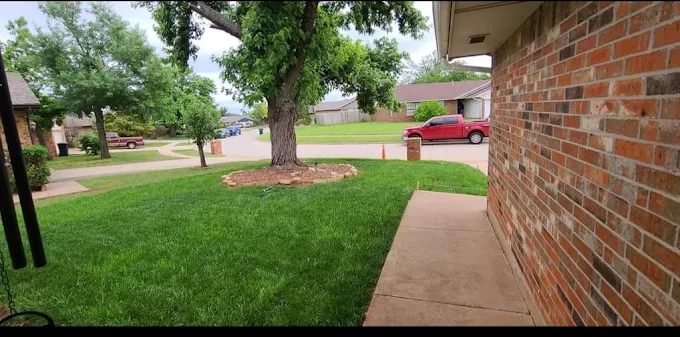 Healthy green lawn beside a brick home with a neatly mulched stone tree ring