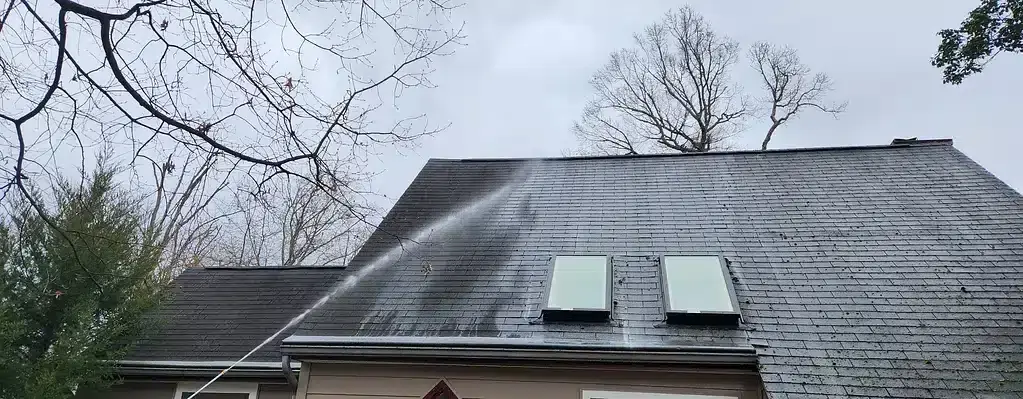 Softwashing