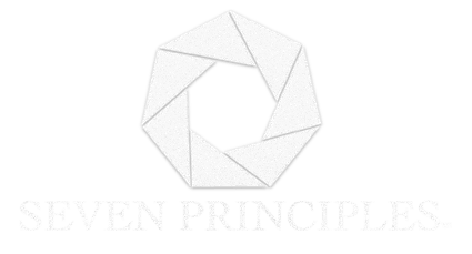 Seven Principles - Veteran-Owned Medical Evidence Division