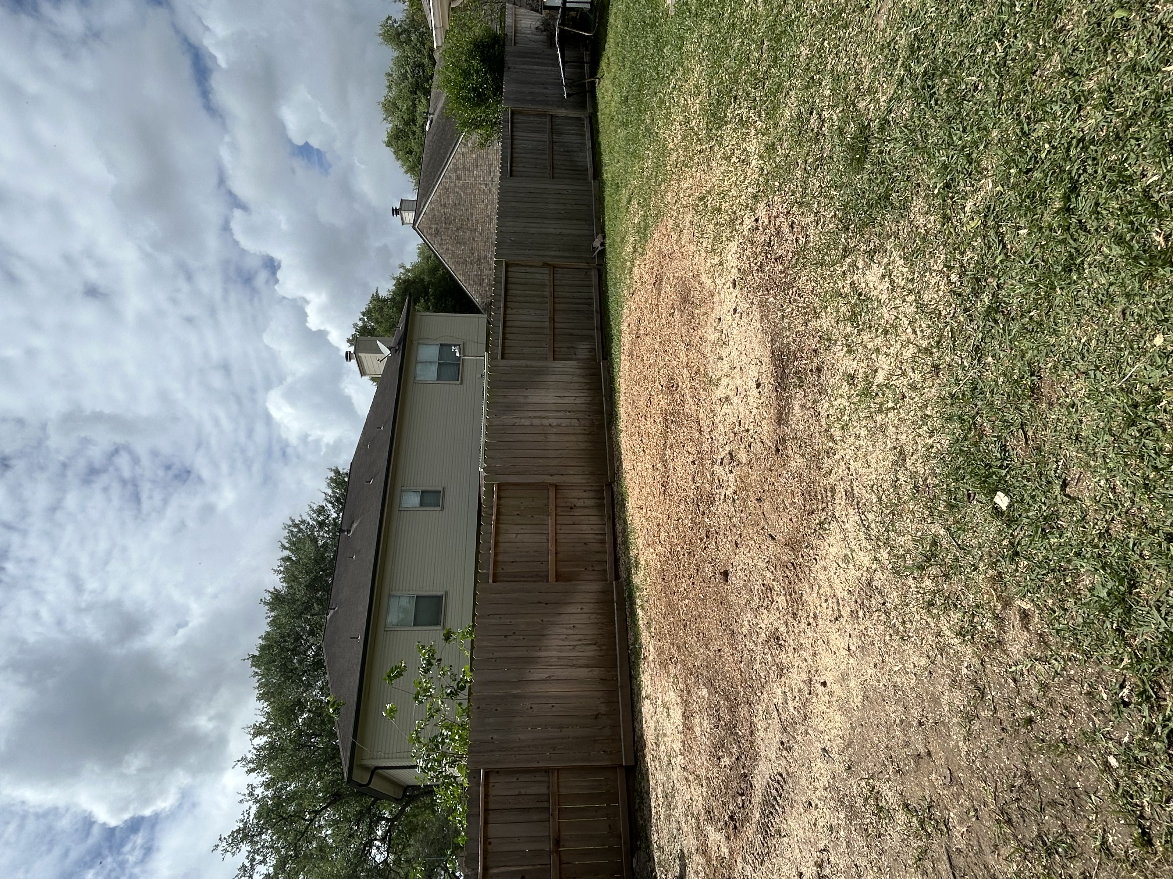 Finished Stump Grinding & Spotless Yard Cleanup