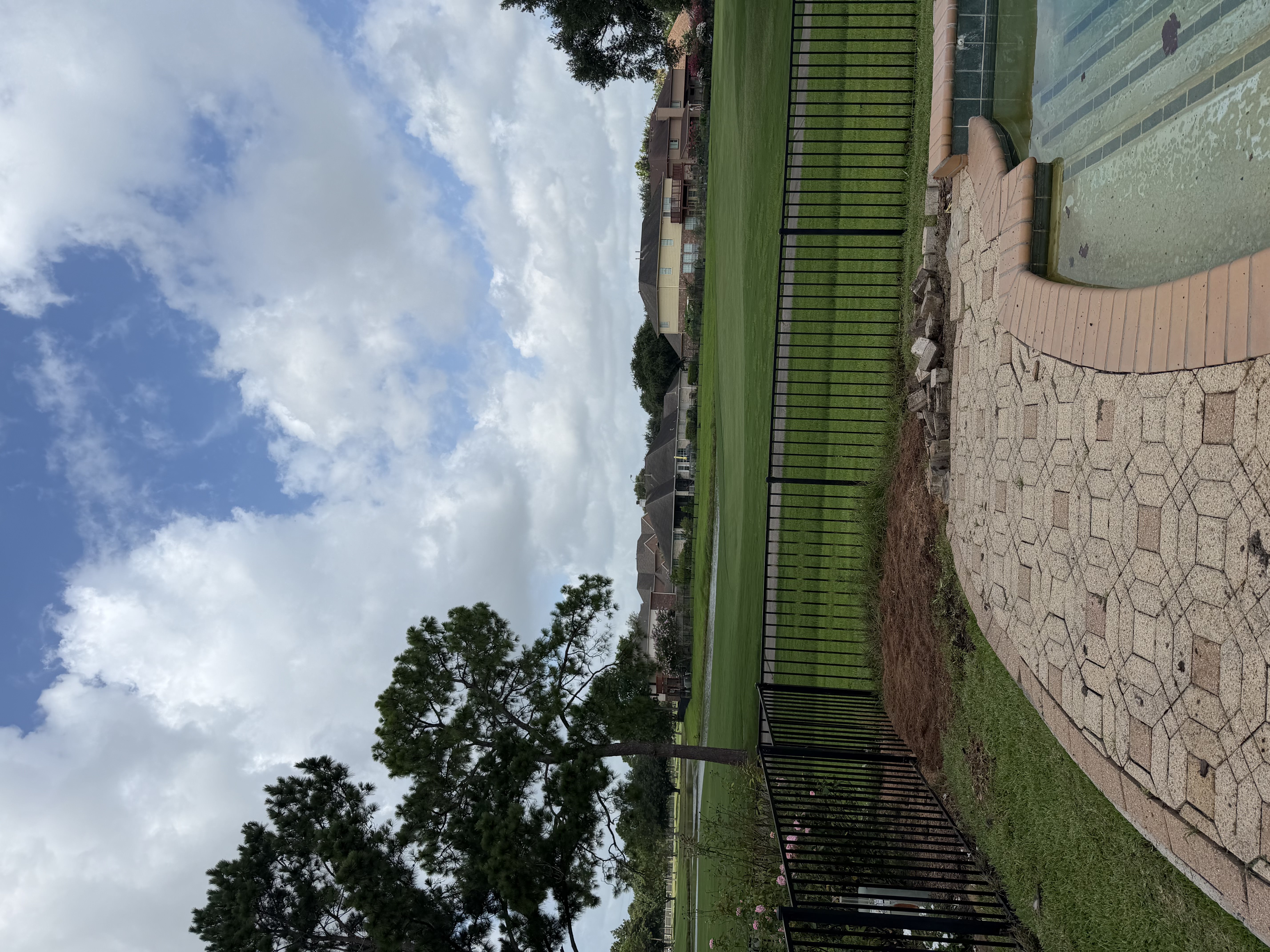 Spotless Pool Patio After Complete Palm Removal