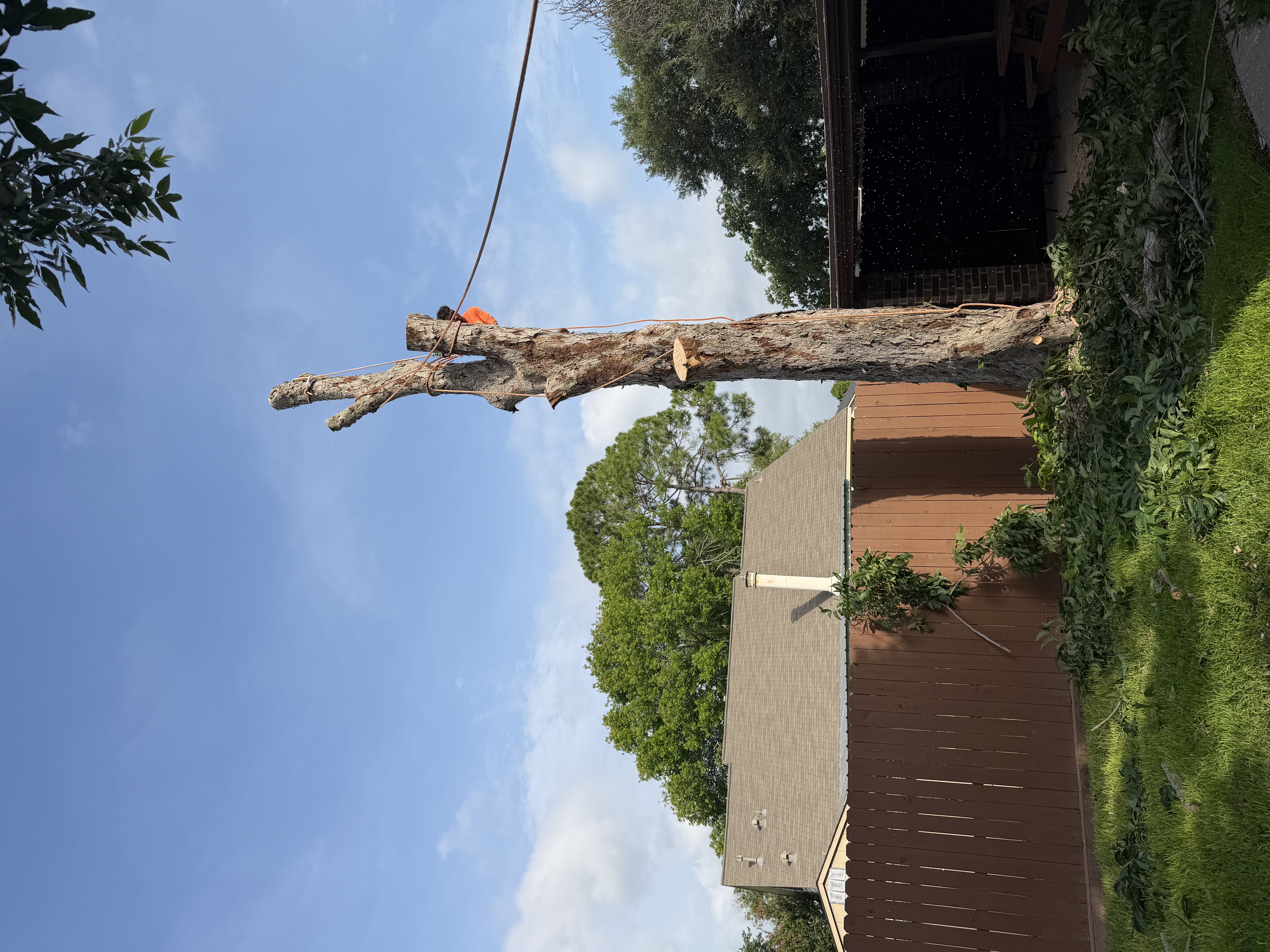Heavy Tree Trunk Lowered Safely Over Fence & Roof