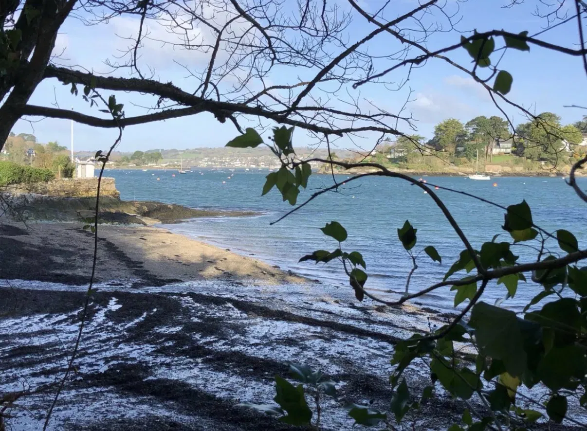 View across the water near Falmouth through the trees