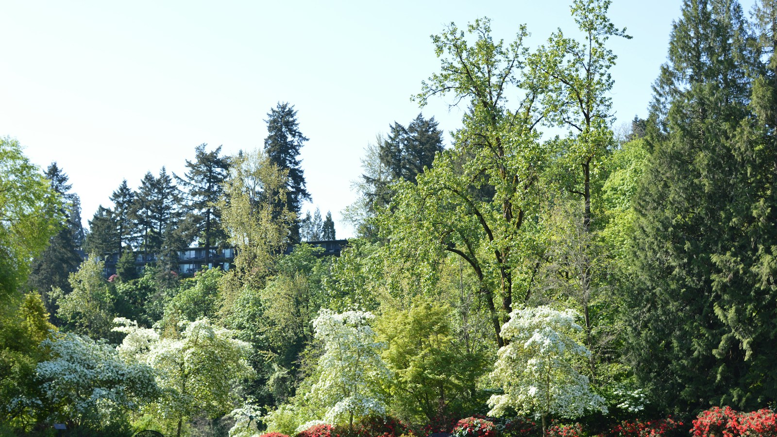 George Rogers Park on the Willamette, Lake Oswego, OR