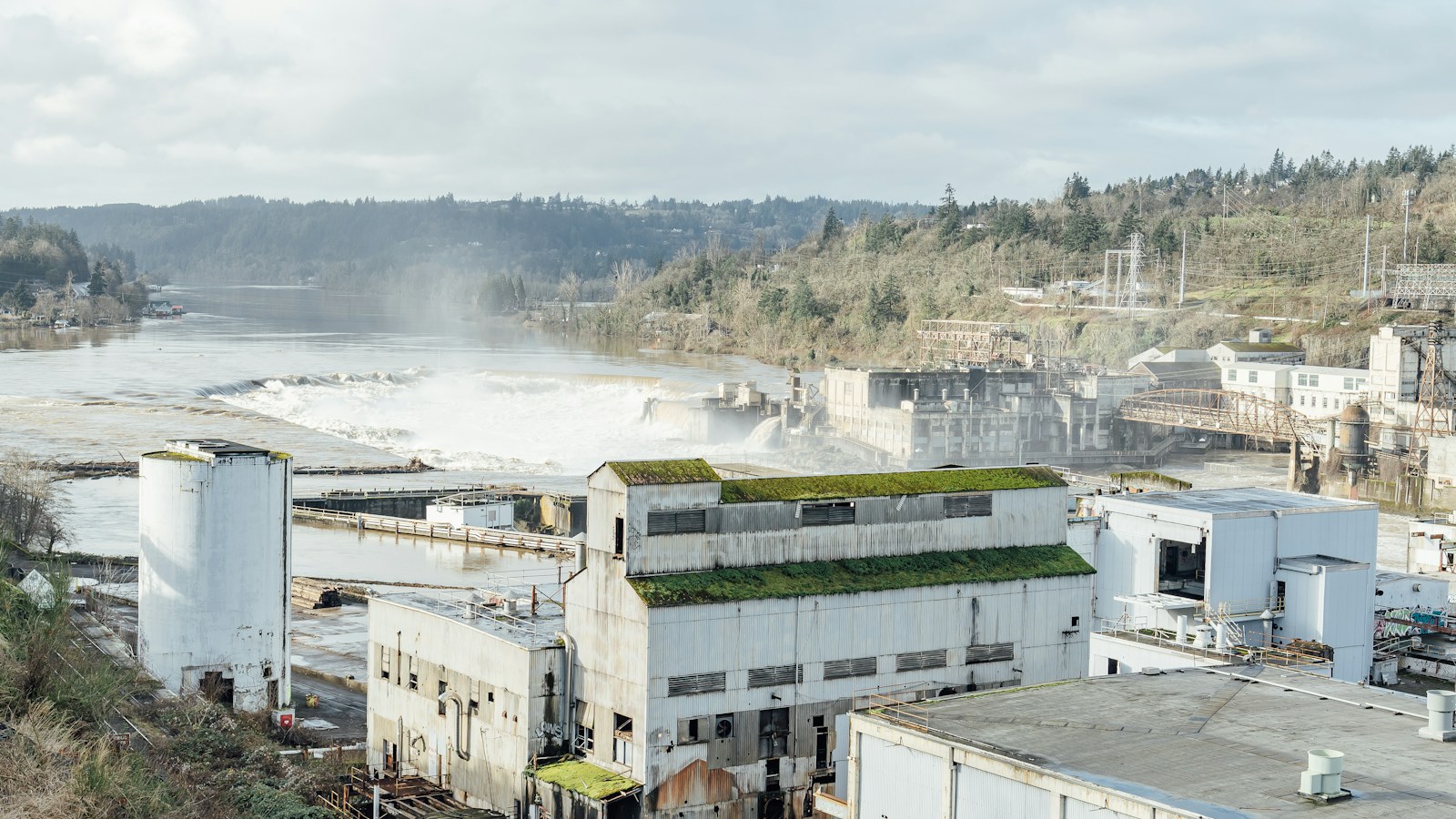 Train beside the green hillside at Willamette Falls, West Linn, OR