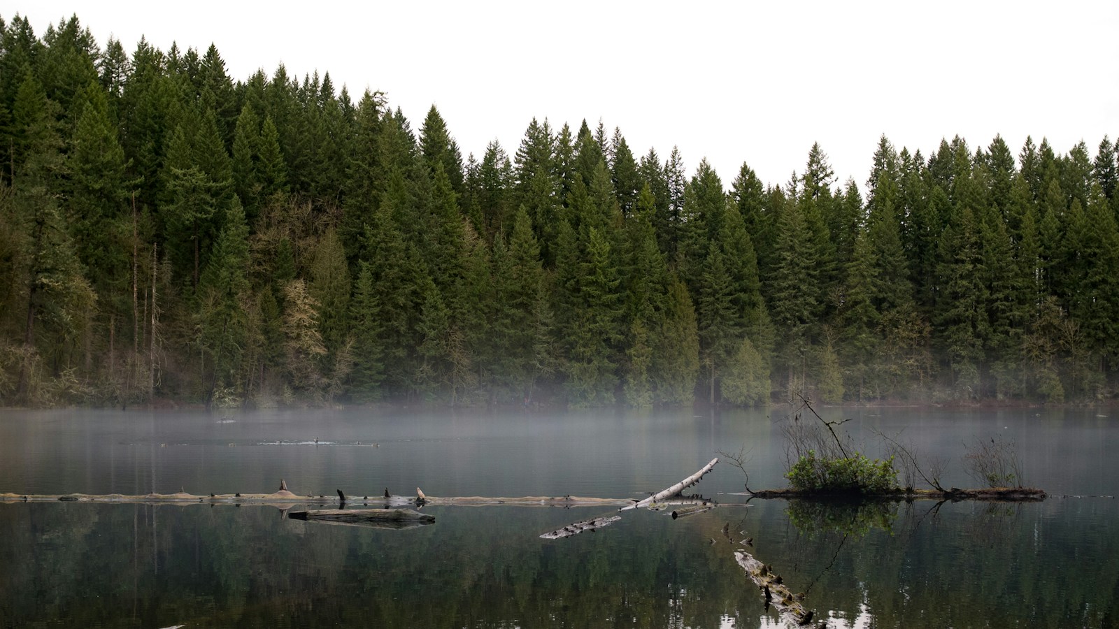 Battle Ground Lake, Battle Ground, WA