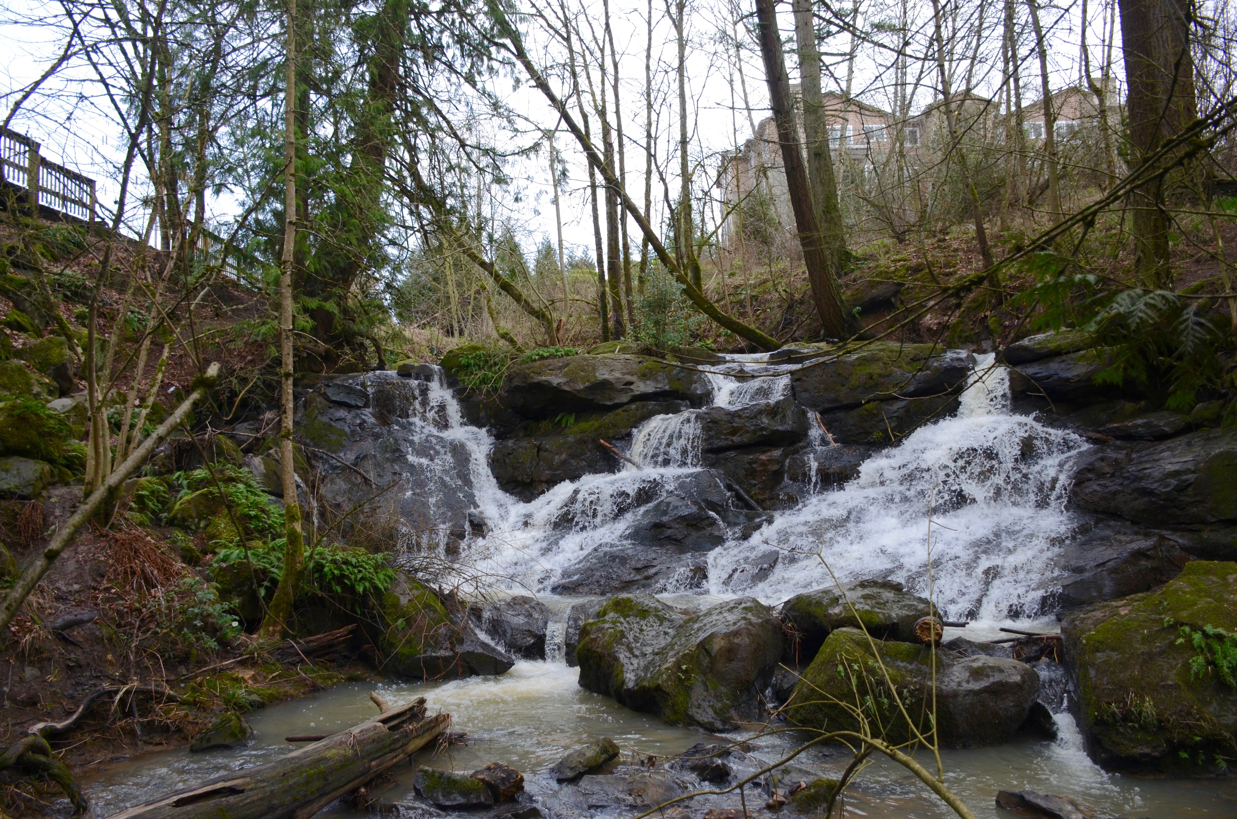 Cedar Mill Falls, Cedar Mill, OR