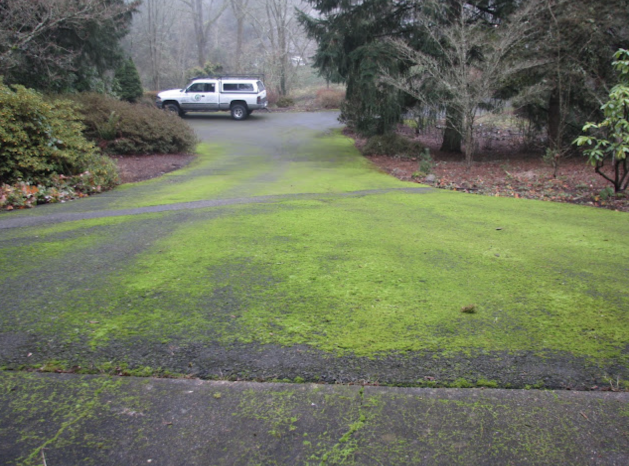 Power Washing