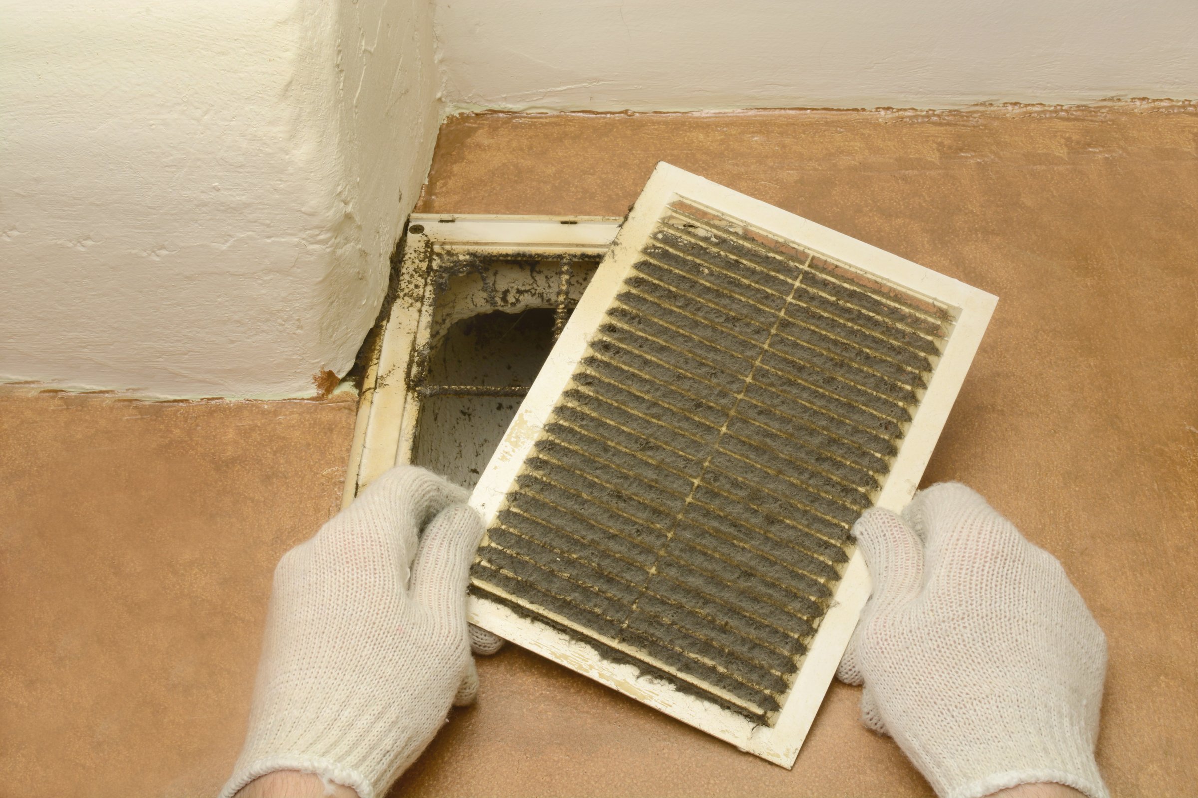 Emerald Carpet & Duct Cleaning logo