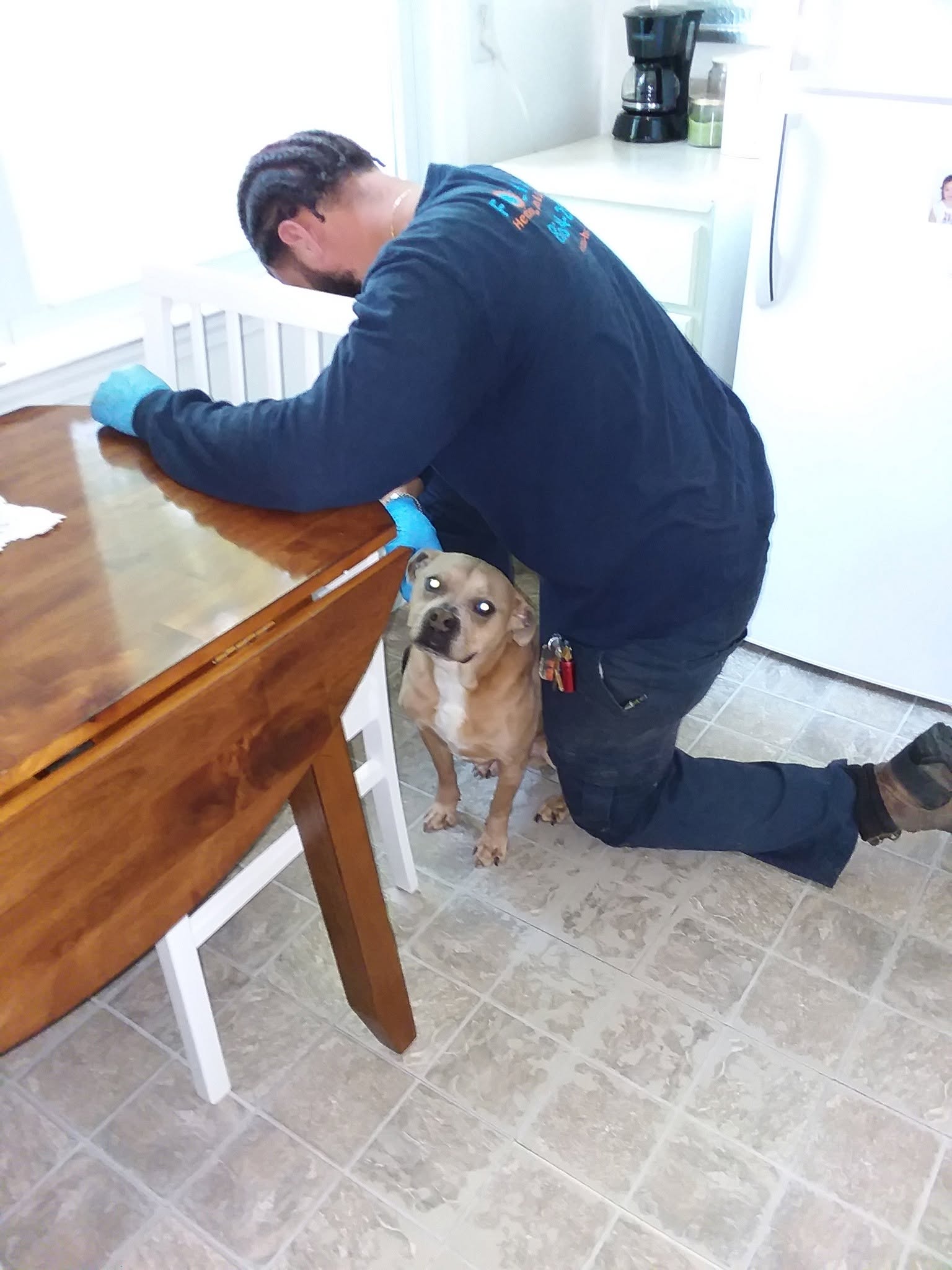 Residential Service Visit & Homeowner Pet Greeting