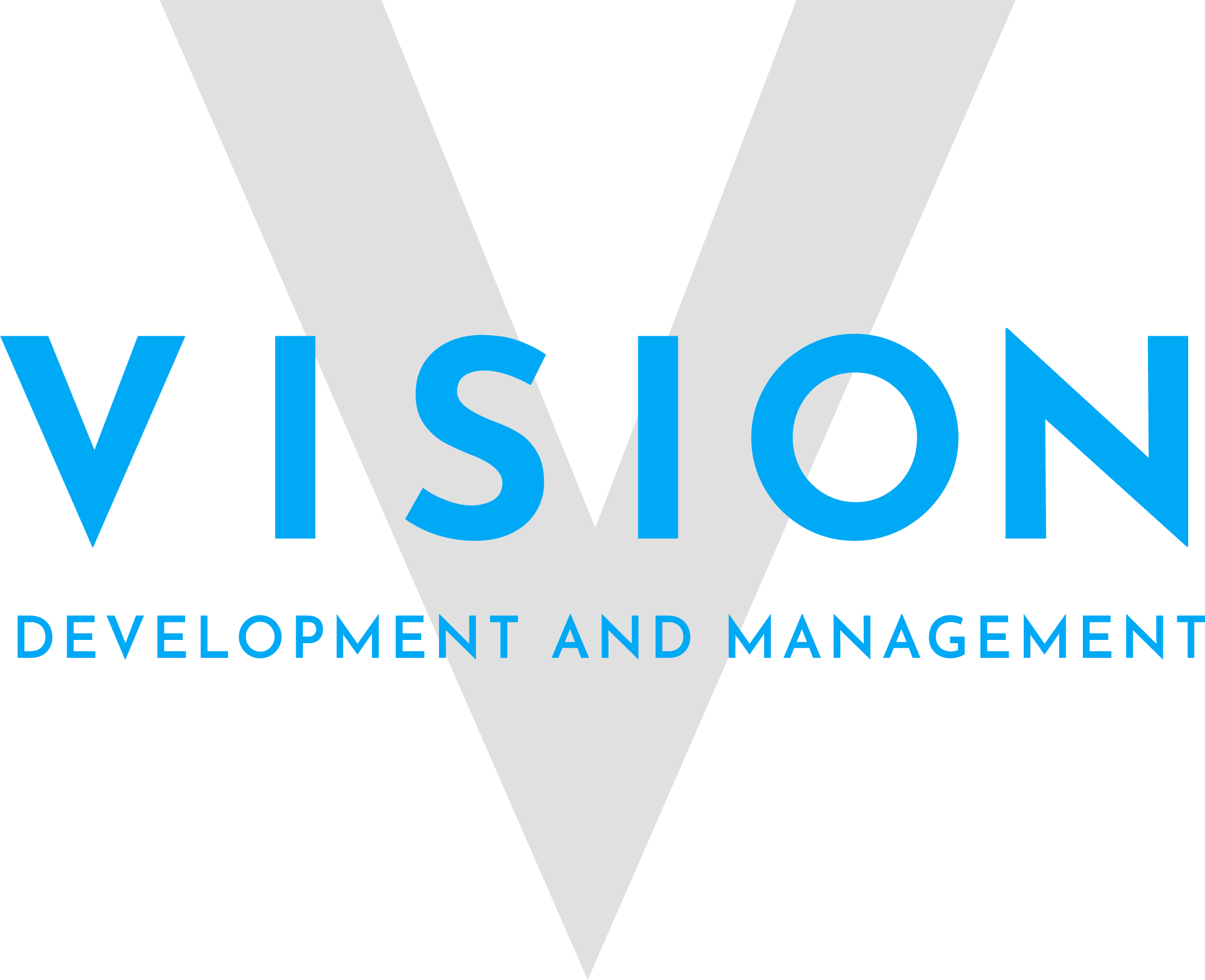 Vision Development & Management