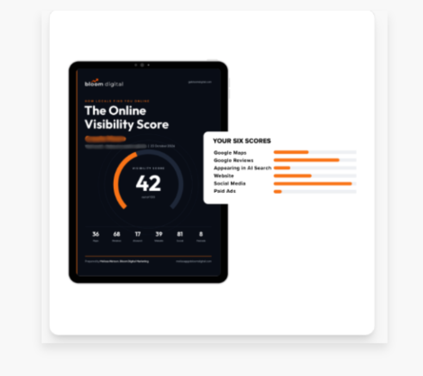 Sample Online Visibility Score audit report