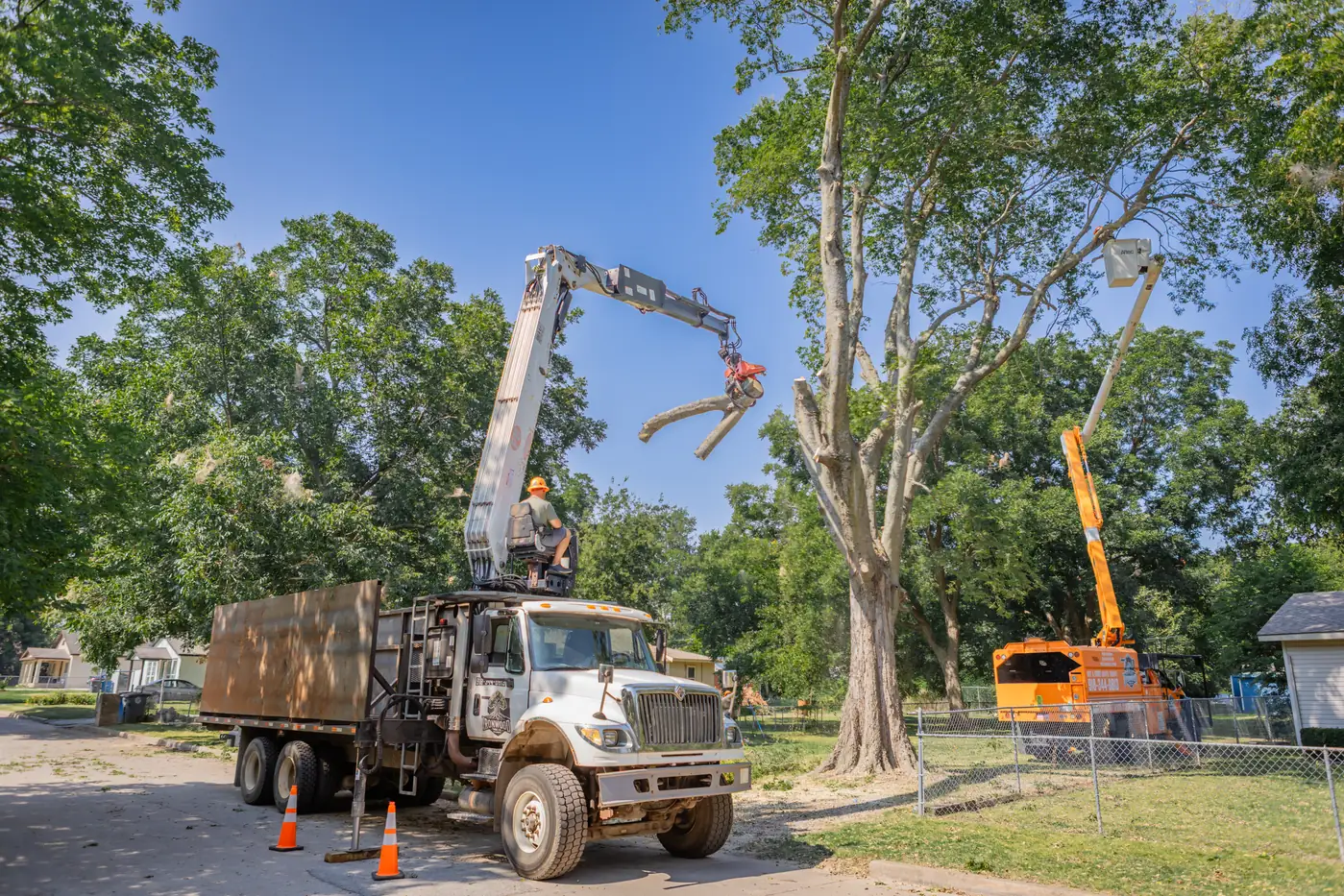 Ironwood Tree Co bucket truck removing a hazardous tree in Tulsa, OK