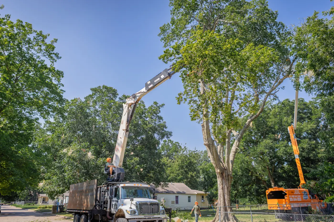 Ironwood Tree Co cleaning up after a tree removal in Northeast Oklahoma