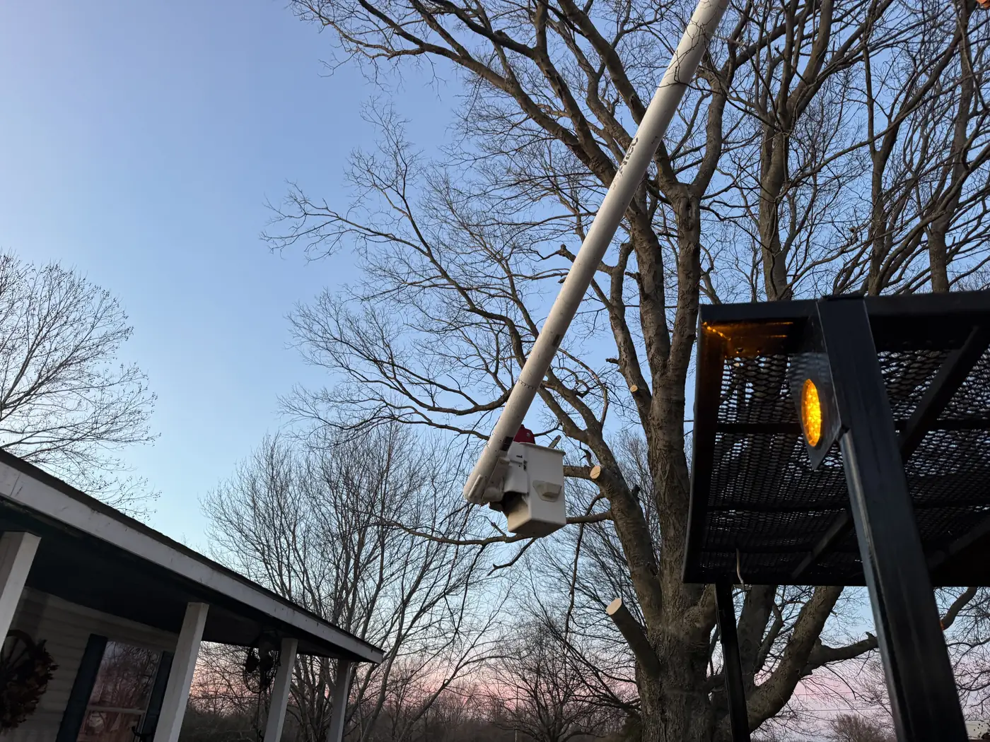 Ironwood Tree Co crew finishing a tree removal job in Tulsa, OK