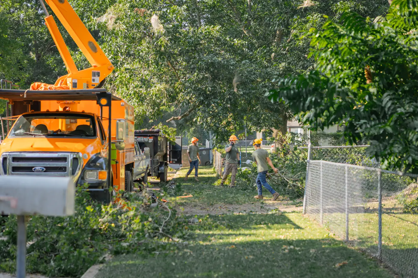 Ironwood Tree Co trimming and pruning a tree in Tulsa, OK