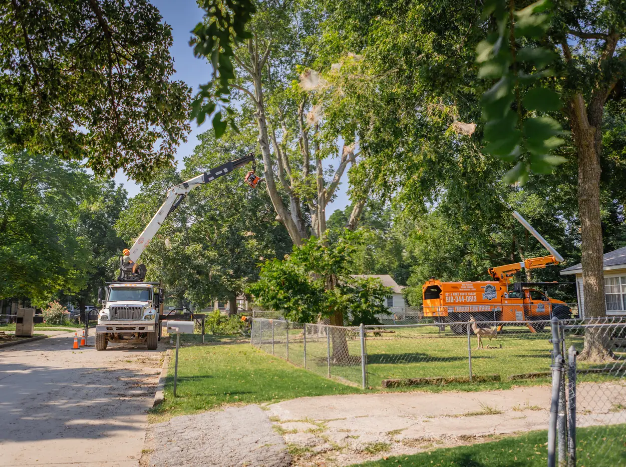 Ironwood Tree Co crew at work on a tree removal job in Tulsa, OK
