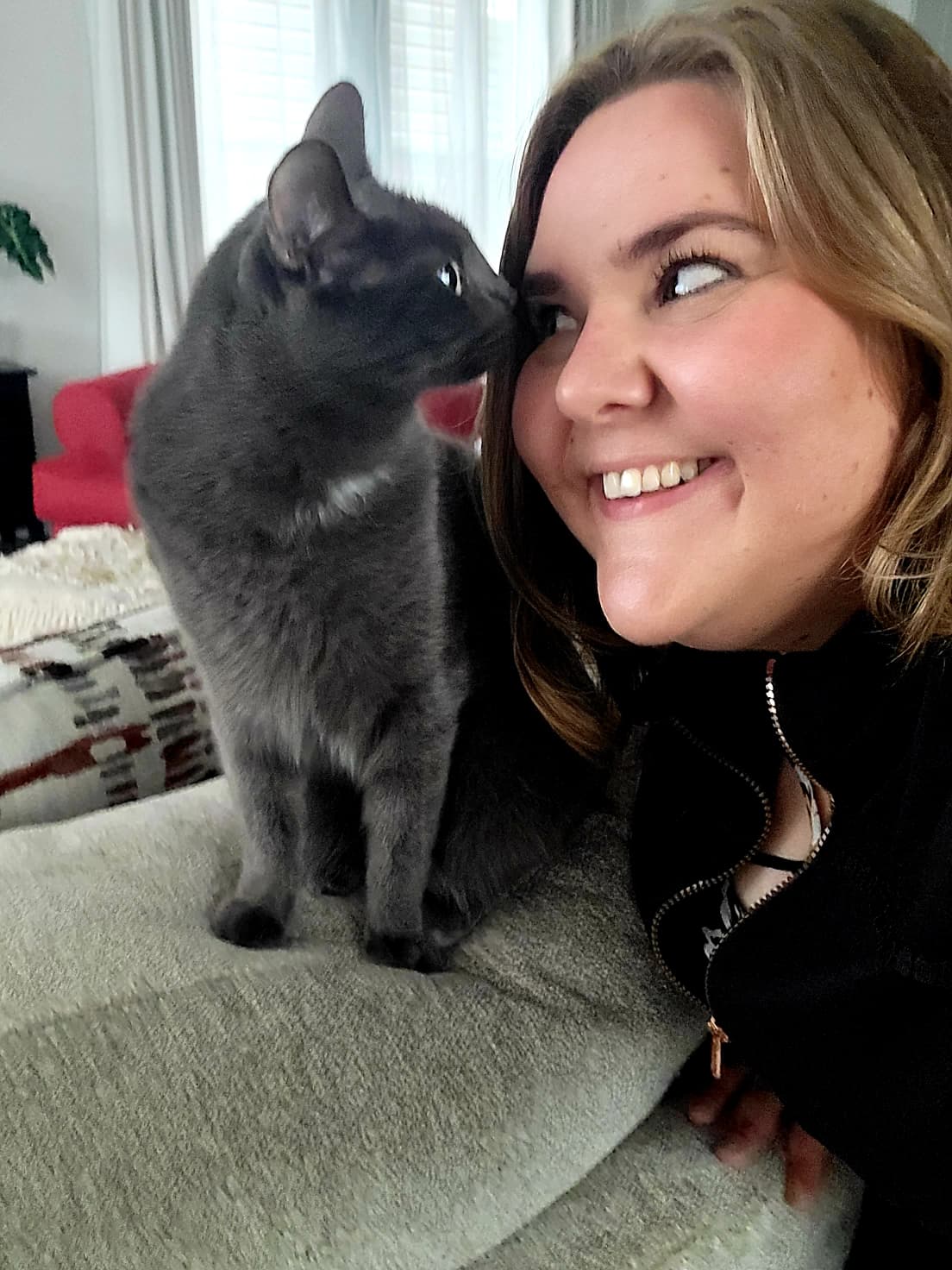 Der Kater