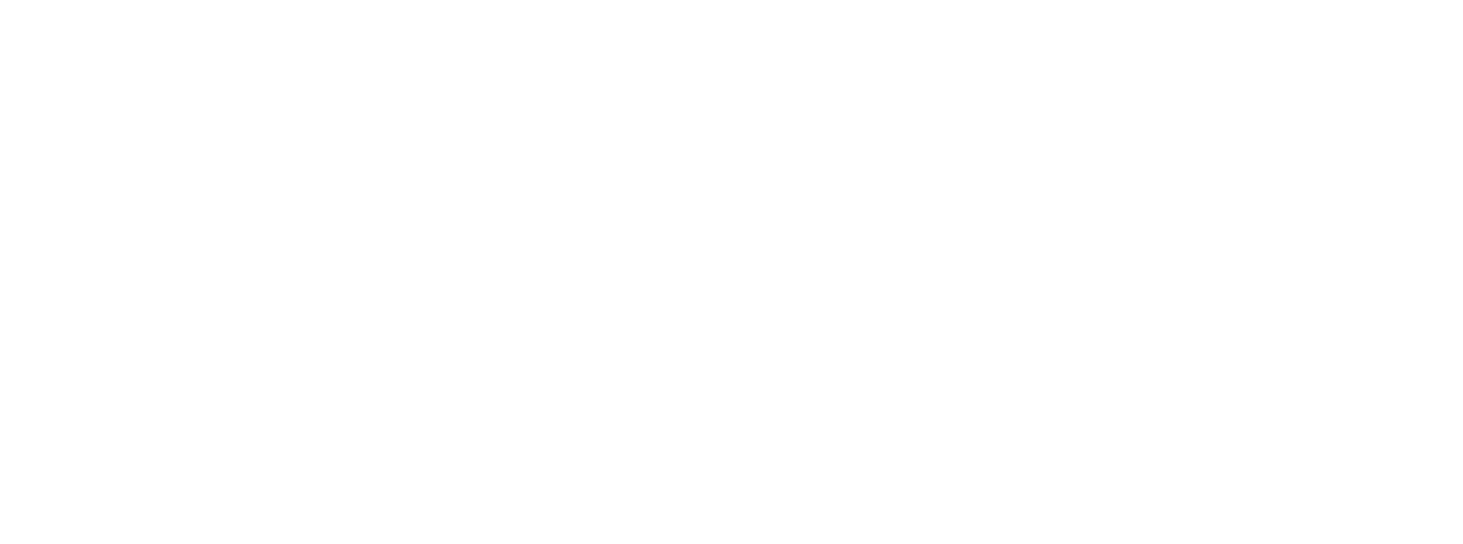 The Site Coach