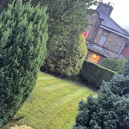 Pristine Striped Lawn & Boundary Shrub Shaping