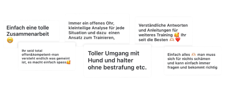 Echte Stimmen und Feedbacks von BondogX Kundinnen und Kunden