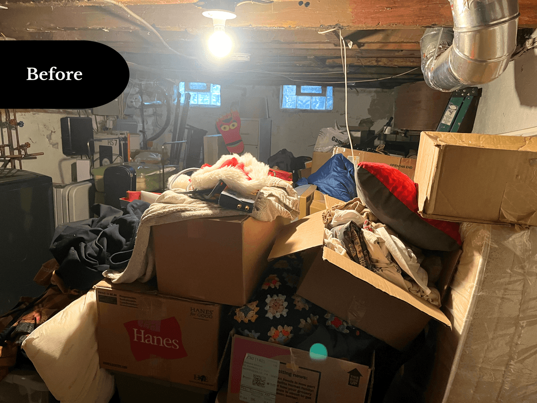 Basement CleanSlate Transformation — before
