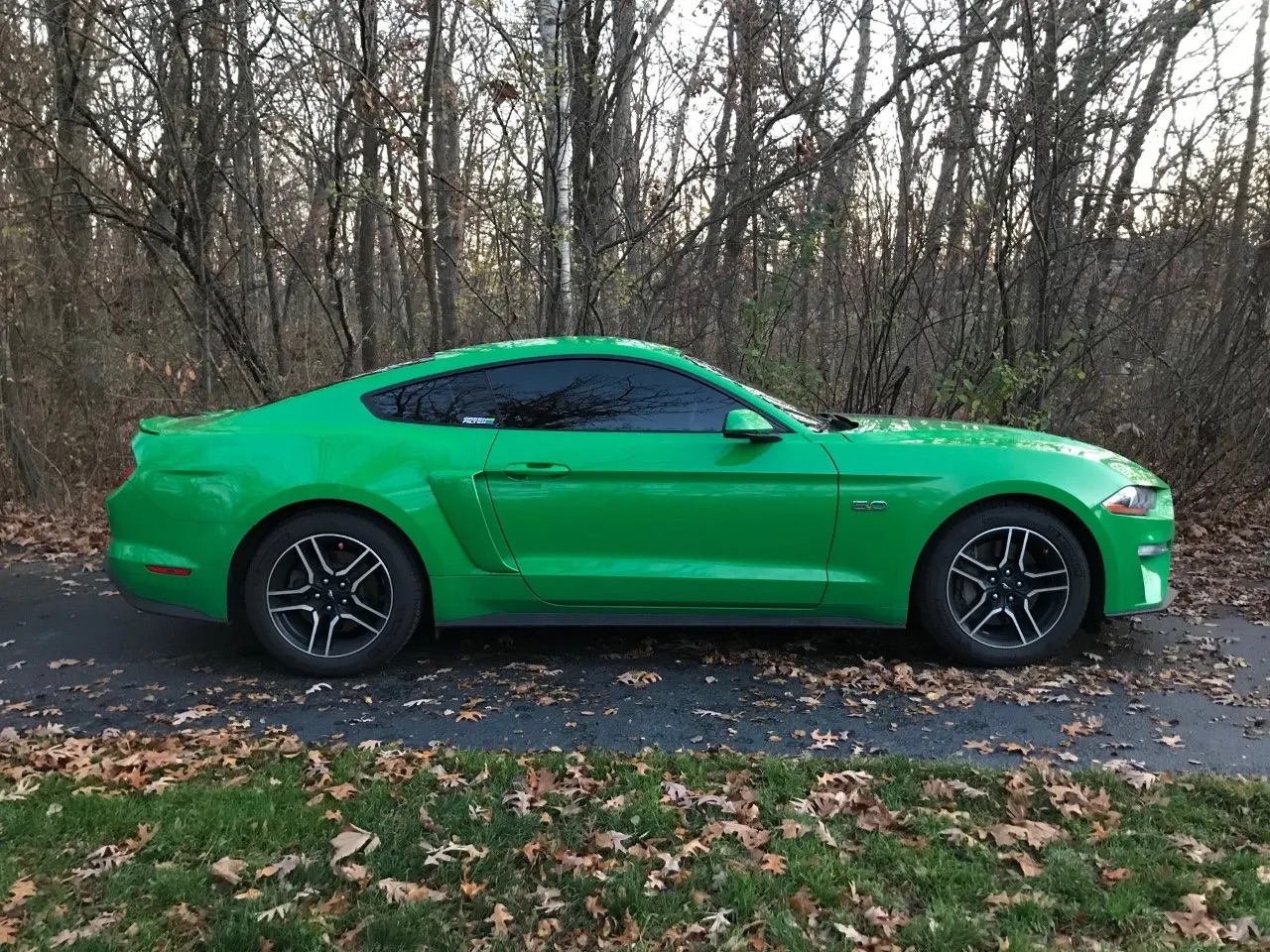 Ford Mustang GT 5.0 window tint job by Mr. Tintz in Hammond, IN