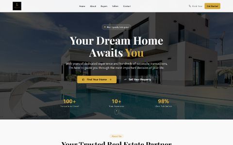 Blue Dynasty Enterprise website preview