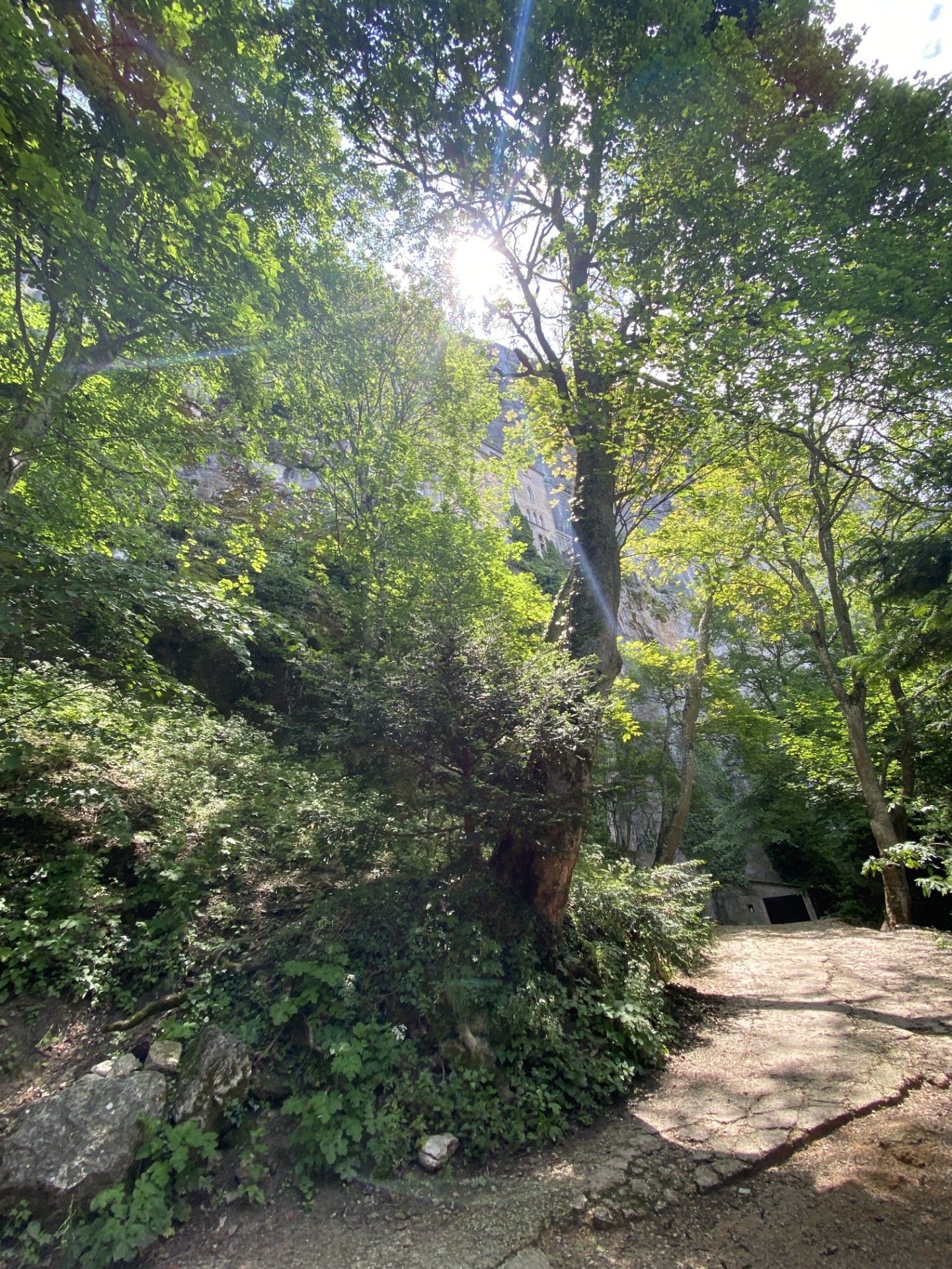 Zauberwald und Pilgerweg zur Sainte-Baume mit Sonnenlicht