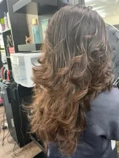Women’s Haircuts & Styling