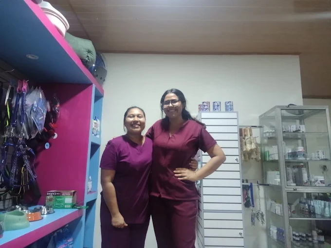 Veterinarias en la clínica My Pet