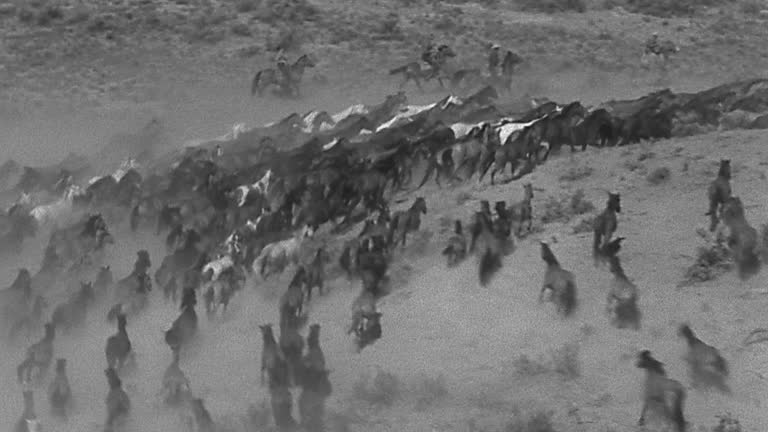 Large herd of wild horses running down a ridge away from round-up pressure